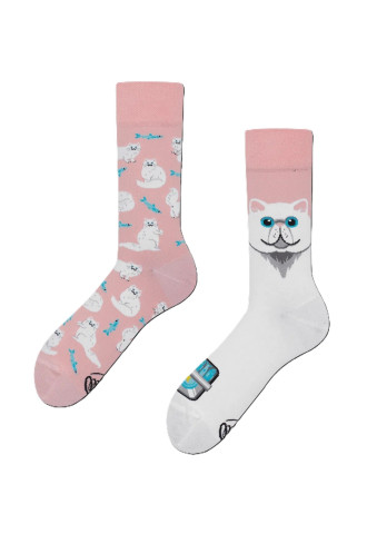 CHAUSSETTES WHITE CAT
