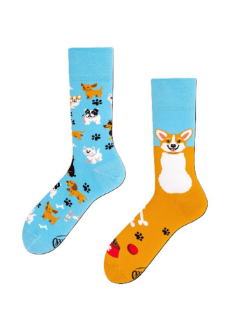 CHAUSSETTES PLAYFUL DOG