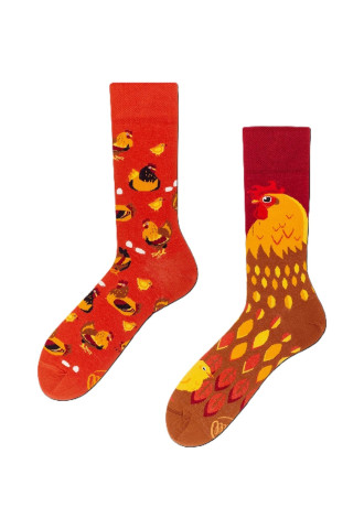 CHAUSSETTES GOLDEN EGGS