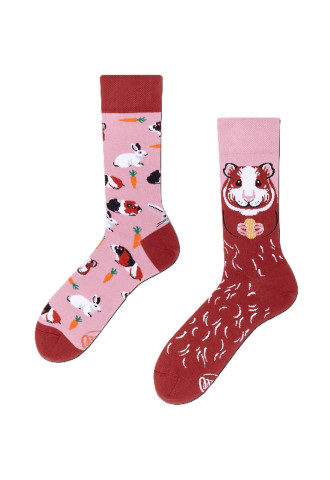 CHAUSSETTES MISS GUINEA PIG
