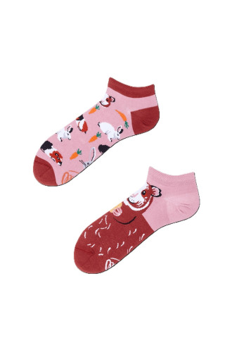 CHAUSSETTES MISS GUINEA PIG