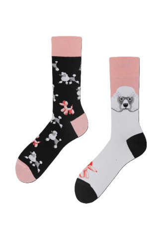 CHAUSSETTES THE POODLES