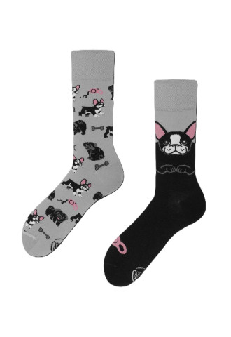 CHAUSSETTES TINY LITTLE DOGS