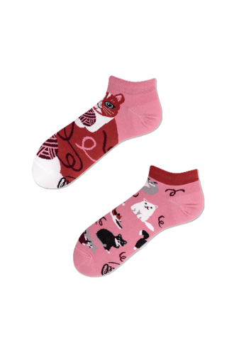 CHAUSSETTES BASSES CHATS
