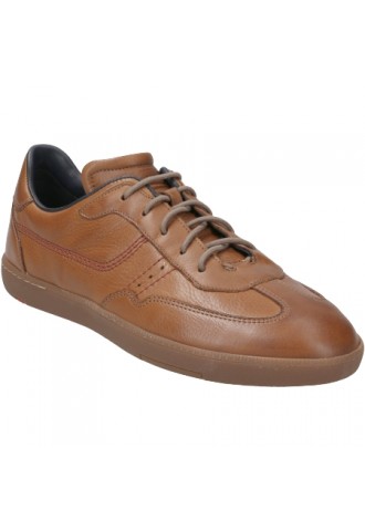 SNEAKER VILLE COGNAC BASTIAN